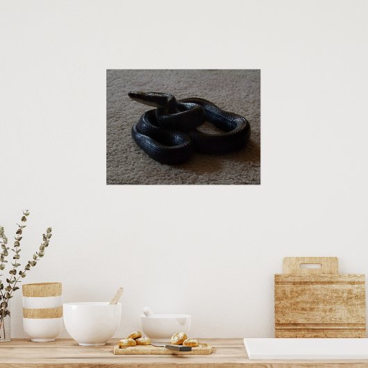 Fantastic Black Snake Geweldige Reptile Poster (Keuken)