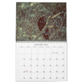 Fantastic Crow Photography Calendar Kalender (Jan 2027)