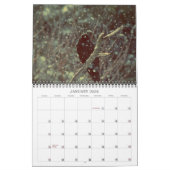 Fantastic Crow Photography Calendar Kalender (Jan 2026)