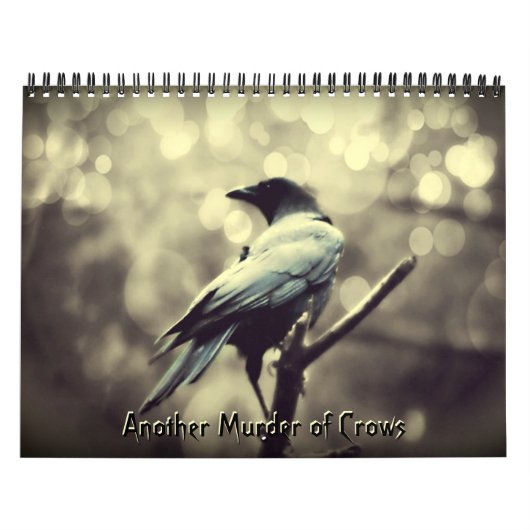 Fantastic Crow Photography Calendar Kalender (Hoes)