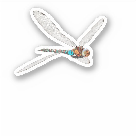 Fantastic Dragonfly T-Shirt Sticker (Voorkant)