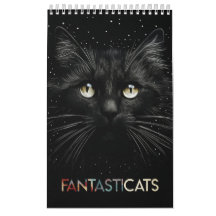 FANTASTICATS - grillige kattenportretten