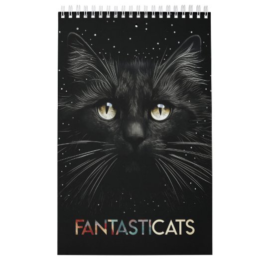 FANTASTICATS - grillige kattenportretten Kalender (Hoes)