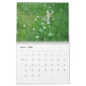 FANTASTIQUE KALENDER (Mar 2026)