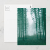 Fantastisch bos met mist in groen briefkaart (Voorkant / Achterkant)