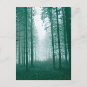 Fantastisch bos met mist in groen briefkaart