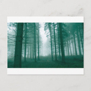 Fantastisch bos met mist in groen briefkaart
