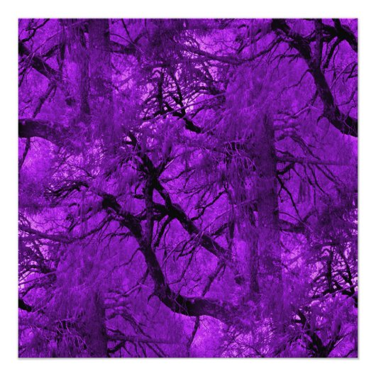 Fantastisch bos... perfect poster (Voorkant)