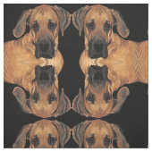 Fantastisch dane Gentle Giant Fabric Stof (Swatch)