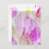 Fantastisch en mooi orchidee briefkaart (Voorkant / Achterkant)