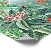 Fantastisch Fabulous Tropics regenwoud Poster (Hoek)