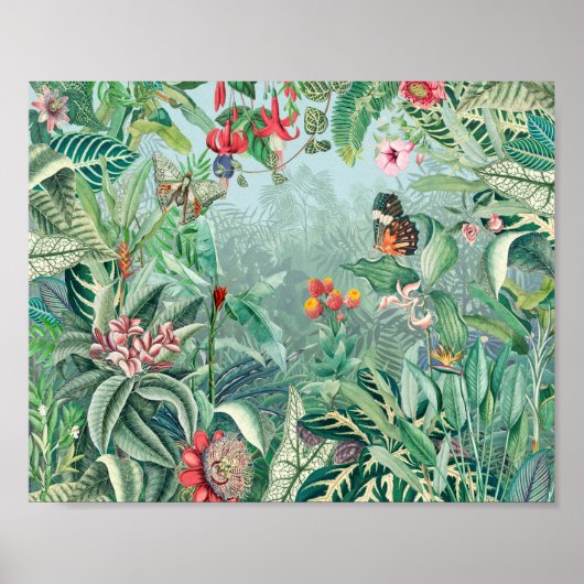 Fantastisch Fabulous Tropics regenwoud Poster (Voorkant)