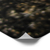 Fantastisch Fuschia (3) Poster (Hoek)