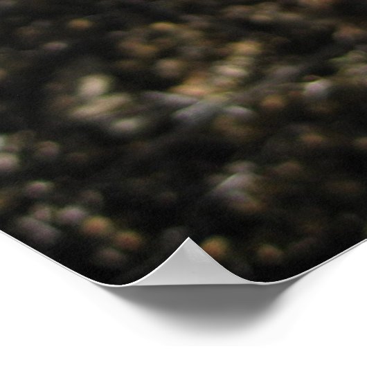 Fantastisch Fuschia (3) Poster (Hoek)