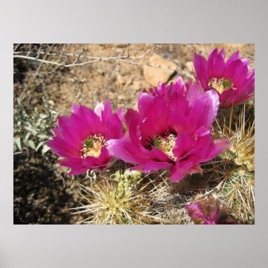 Fantastisch Fuschia (3) Poster (Voorkant)