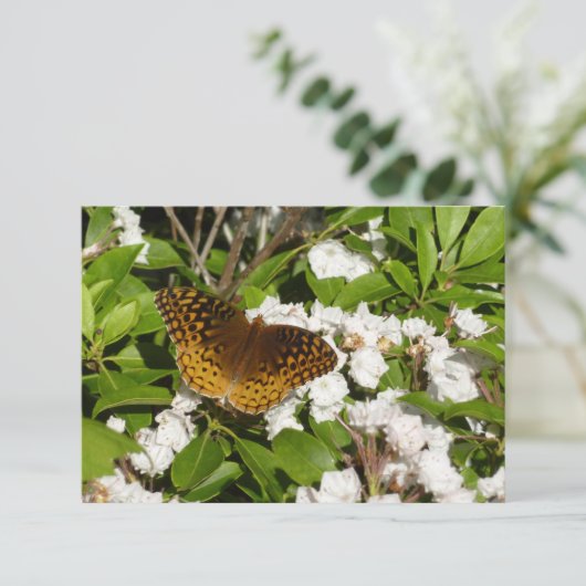 Fantastisch gebogen koninklijk konvooi op Mountain (Staand voorkant)