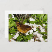 Fantastisch gebogen koninklijk konvooi op Mountain (Voorkant / Achterkant)