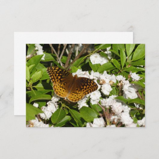 Fantastisch gebogen koninklijk konvooi op Mountain (Voorkant / Achterkant)