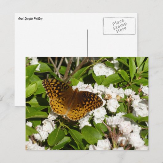 Fantastisch gebogen koninklijk konvooi op Mountain Briefkaart (Voorkant / Achterkant)