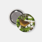 Fantastisch gebogen koninklijk konvooi op Mountain Magneet (Voorkant / Achterkant)