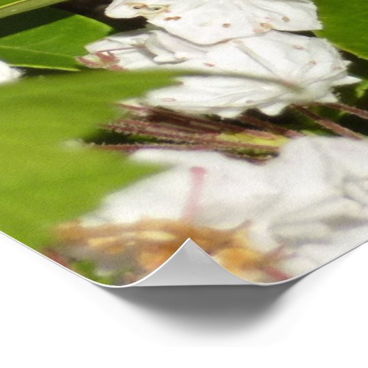 Fantastisch gebogen koninklijk konvooi op Mountain Poster (Hoek)