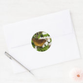 Fantastisch gebogen koninklijk konvooi op Mountain Ronde Sticker (Envelop)