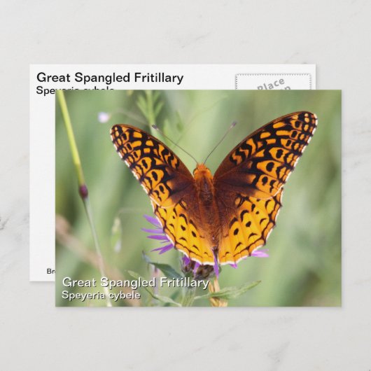 Fantastisch gebogen vriend briefkaart (Voorkant / Achterkant)