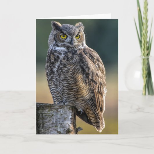 Fantastisch gehoornd Owl Dank je kaart (Voorkant)