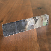 Fantastisch gezicht van een zwart Beer Naambordje (Zijkant)