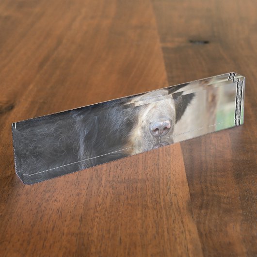 Fantastisch gezicht van een zwart Beer Naambordje (Zijkant)