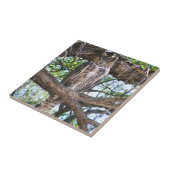 Fantastisch owl kleine keramische foto-tegel tegeltje (Zijkant)