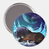 Fantastisch paard magneet (Voorkant / Achterkant)