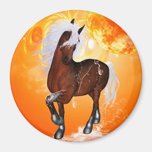 Fantastisch paard magneet (Voorkant)
