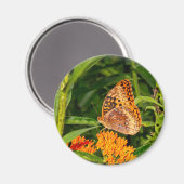 Fantastisch-pantservlinder Magneet (Voorkant / Achterkant)