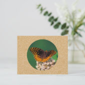 Fantastisch rondgewreven vlinderbloemige vlinder briefkaart (Staand voorkant)