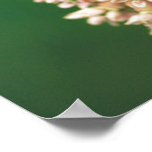 Fantastisch rondgewreven vlinderbloemige vlinder poster (Hoek)