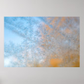 Fantastisch vorstpatroon, Wisconsin Poster (Voorkant)