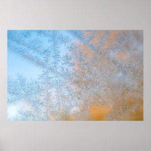 Fantastisch vorstpatroon, Wisconsin Poster