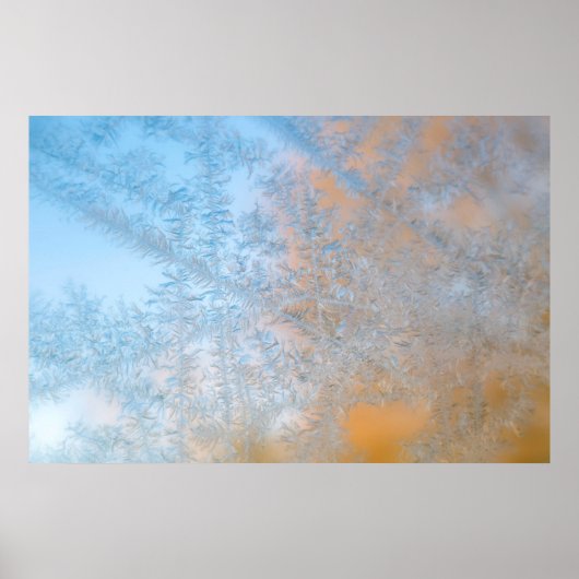 Fantastisch vorstpatroon, Wisconsin Poster (Voorkant)