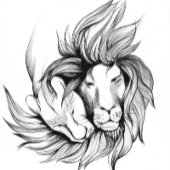 Fantastische abstracte vlinderTeenslippers Teenslippers