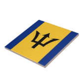 fantastische barbados tegeltje (Zijkant)