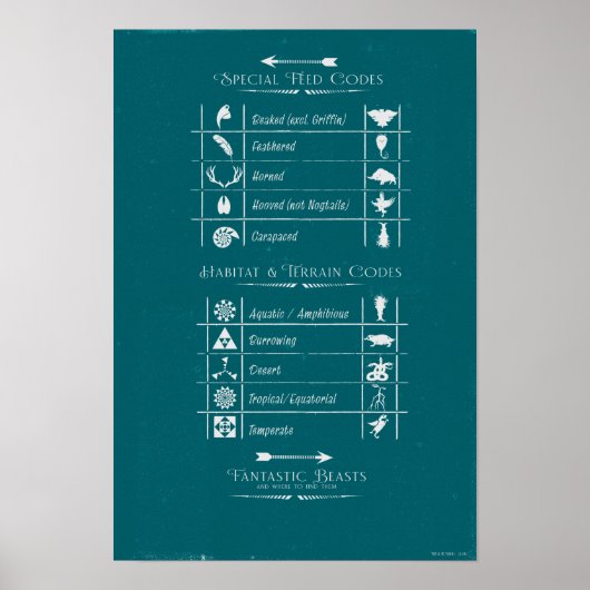 FANTASTISCHE BEASTEN EN WAAR ZE KUNNEN VINDEN™-cod Poster (Voorkant)