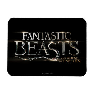 FANTASTISCHE BEASTEN EN WAAR ZE KUNNEN WORDEN VAST MAGNEET