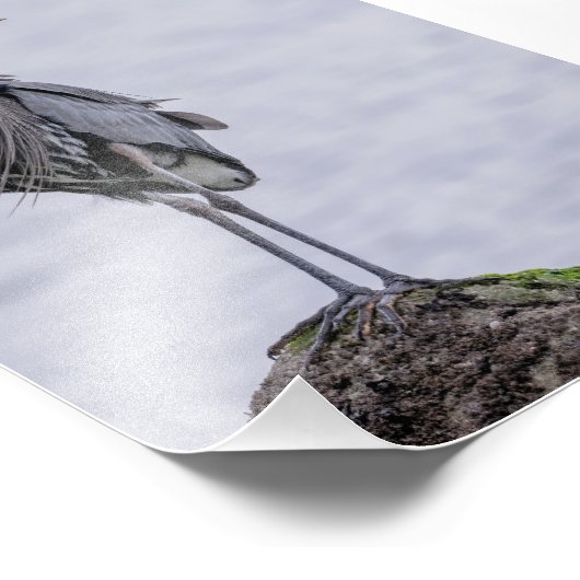 Fantastische blauwe foto van Heron Afdruk (Hoek)