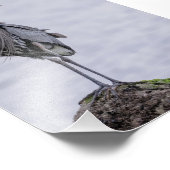 Fantastische blauwe foto van Heron Foto Afdruk (Hoek)