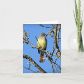 Fantastische brochure kaart (Voorkant)