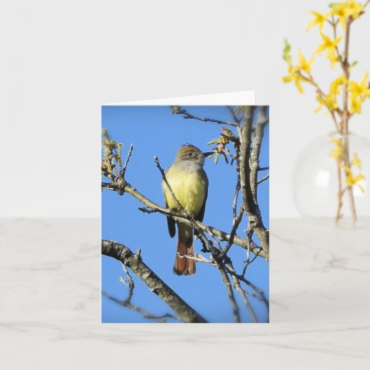 Fantastische brochure kaart (Gele Bloem)