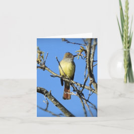Fantastische brochure kaart