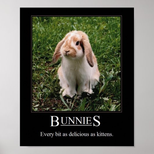 Fantastische Bunnies! Poster (Voorkant)