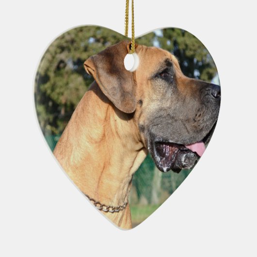 Fantastische Daanfotoversieringen Keramisch Ornament (Rechts)